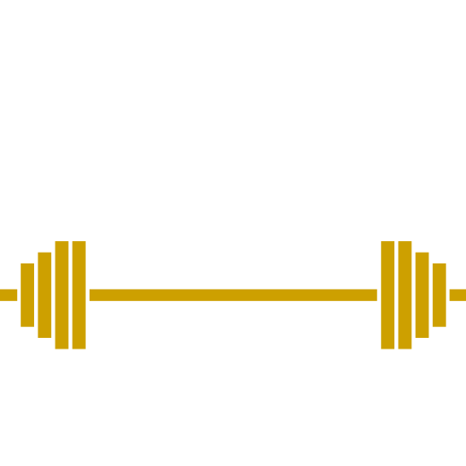2BStrong - Treningi Personalne i Motoryczne